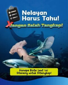 IMG-20260711-WA0105