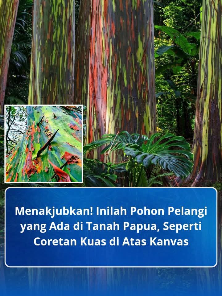 IMG-20260714-WA0033
