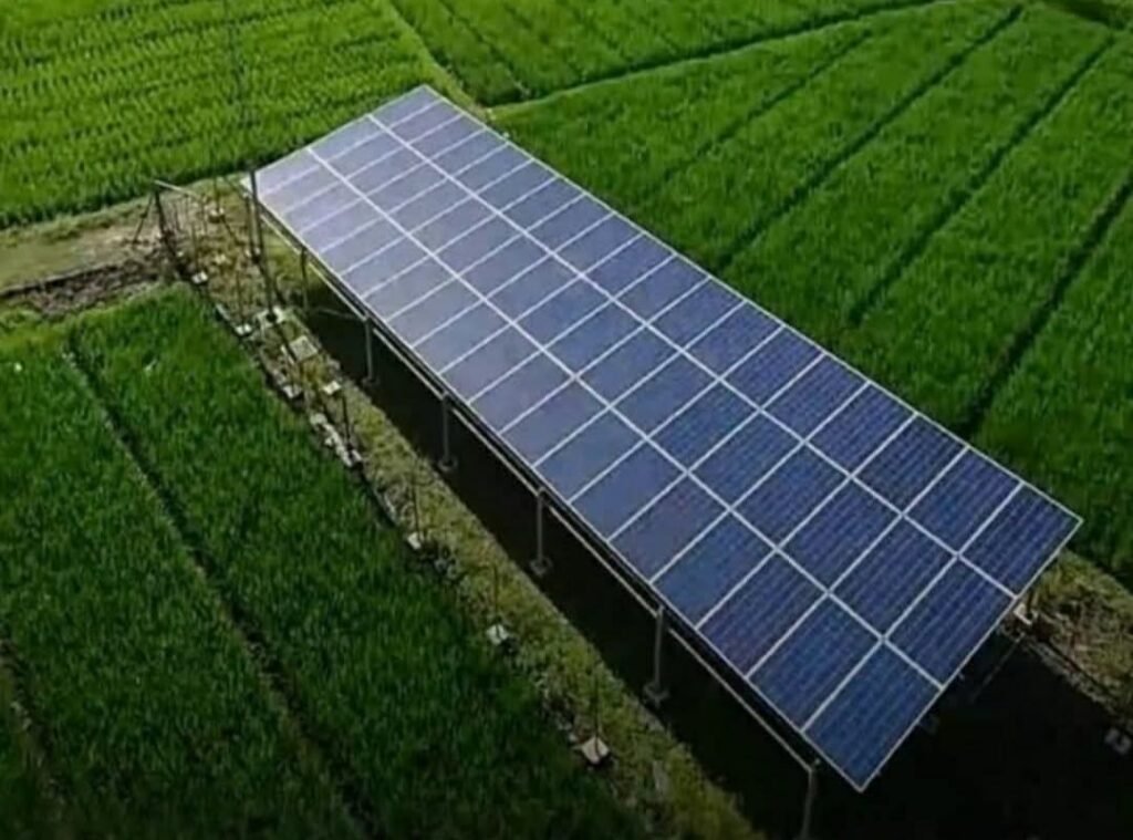 IMG-20260717-WA0022