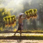Laba Pupuk Indonesia Melonjak 253 Persen di Semester I 2026, Transformasi di Bawah Danantara Mulai Berbuah Hasil