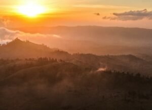IMG-20260728-WA0033(1)