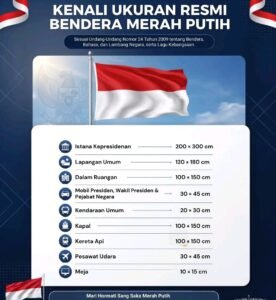 1785691244127-1