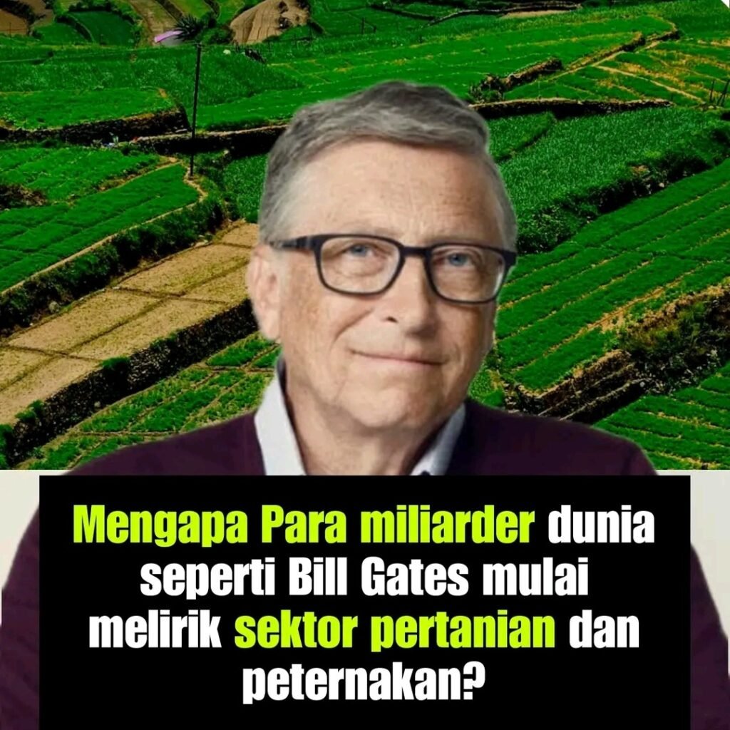 1786637459596-1