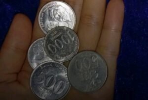 1786811250869-1