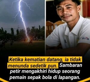 1786865463583-1