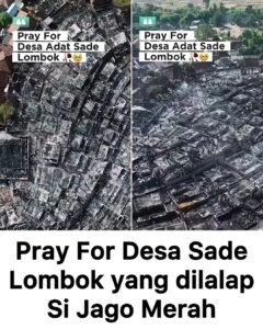 1787480129750