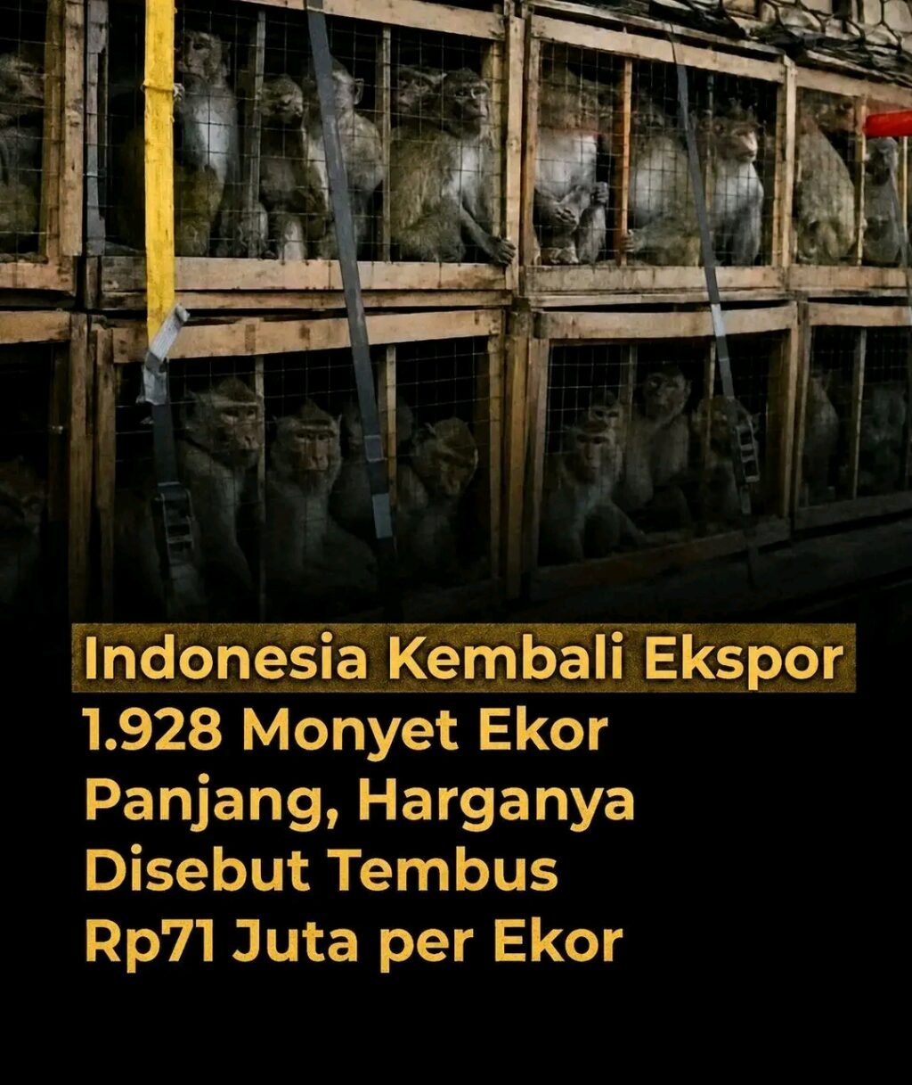 1787550856483
