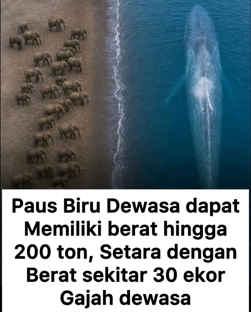 1787552371319