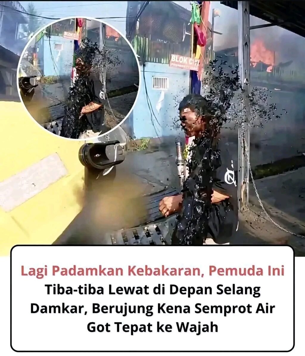 1787781311372