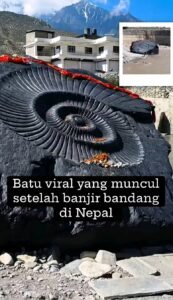 1788152006221
