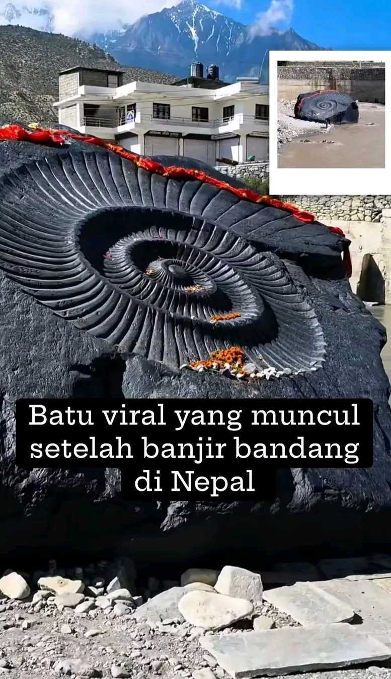 1788152006221
