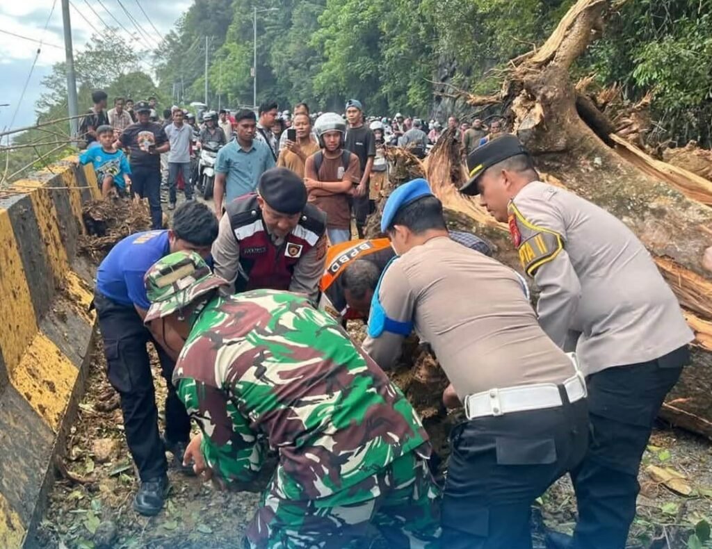 IMG-20260807-WA0045