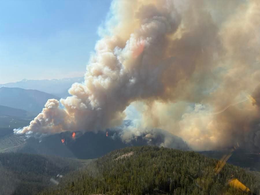 IMG-20260809-WA0022