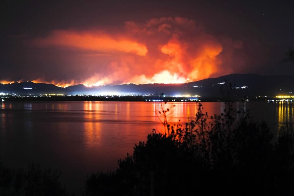 IMG-20260819-WA0102