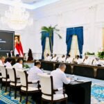 Prabowo Dorong Swasembada Energi Nasional, Pemerintah Siapkan B50-E50 hingga PLTS 100 GWp
