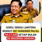 REKRUT HONORER PALSU
