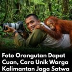 Warga Kalbar Dibayar Memotret Satwa Liar, Orangutan Bisa Bernilai Rp130 Ribu