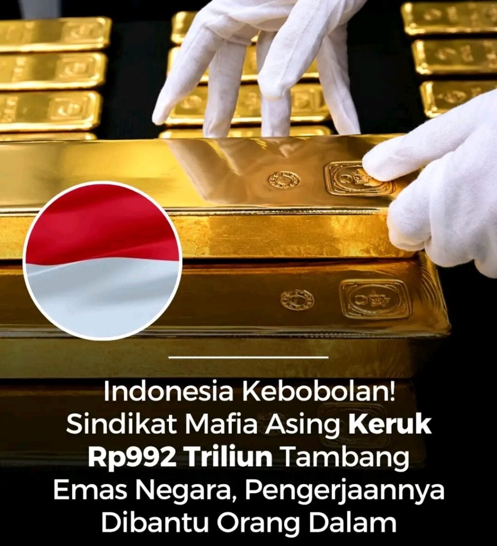1790053324117-1