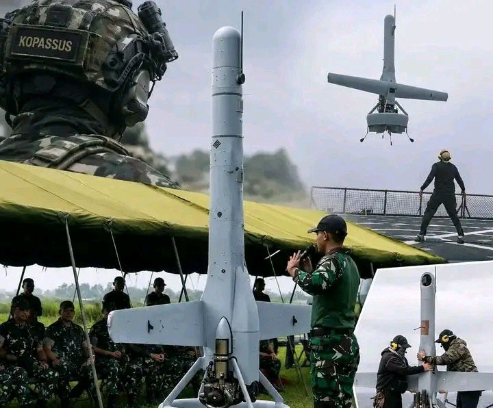 1790054818539-1