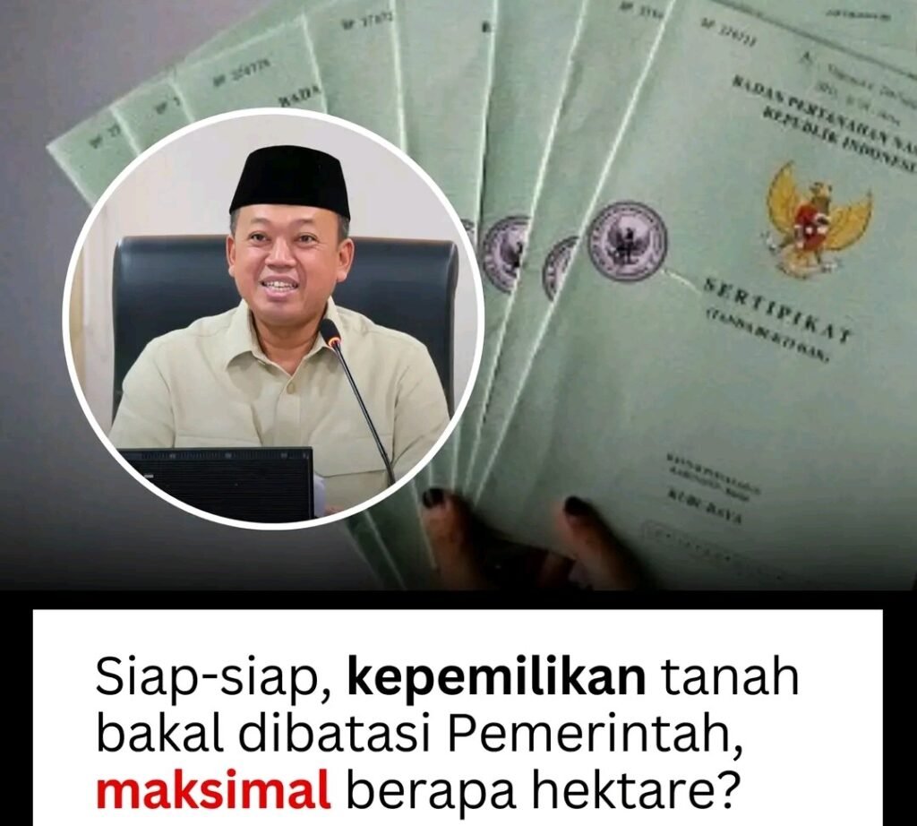 1790215409137-1