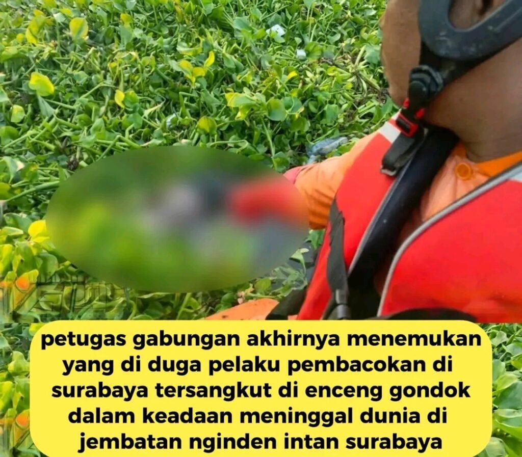1793413635041